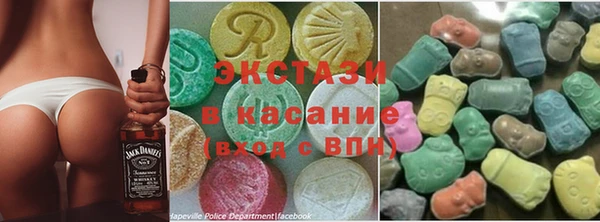 индика Богданович