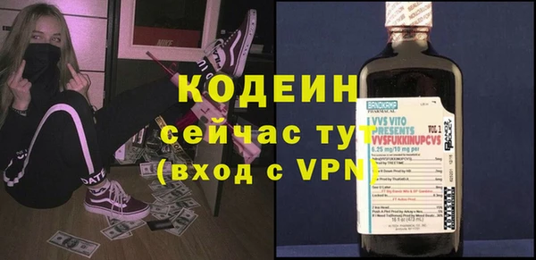 индика Богданович