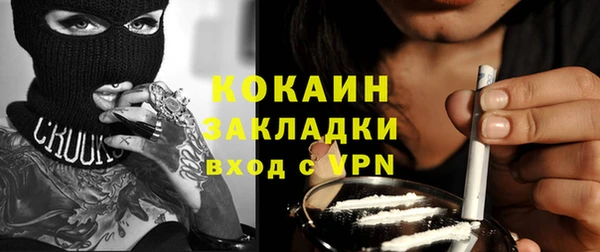 индика Богданович