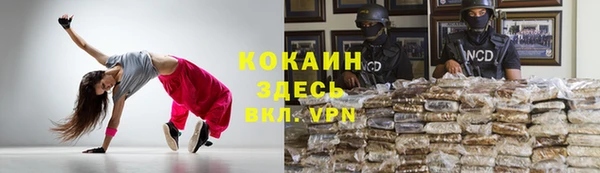 индика Богданович