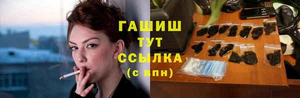 индика Богданович