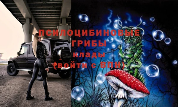 индика Богданович
