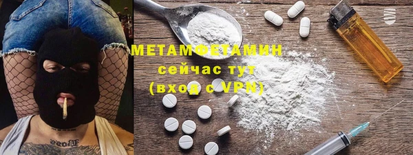 индика Богданович