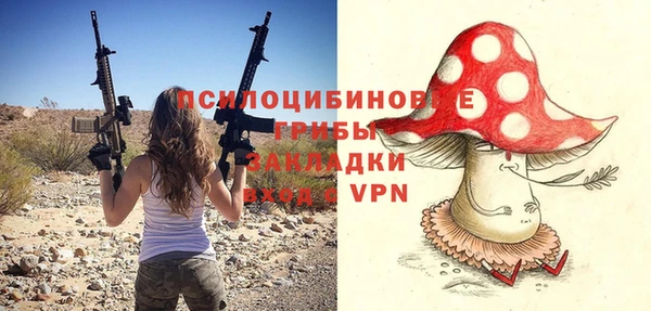 индика Богданович