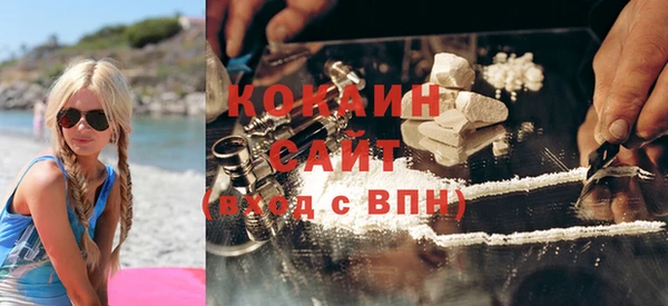 индика Богданович