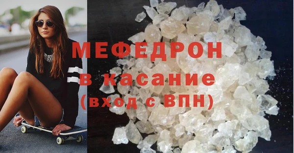 индика Богданович