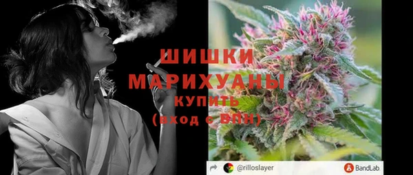 индика Богданович